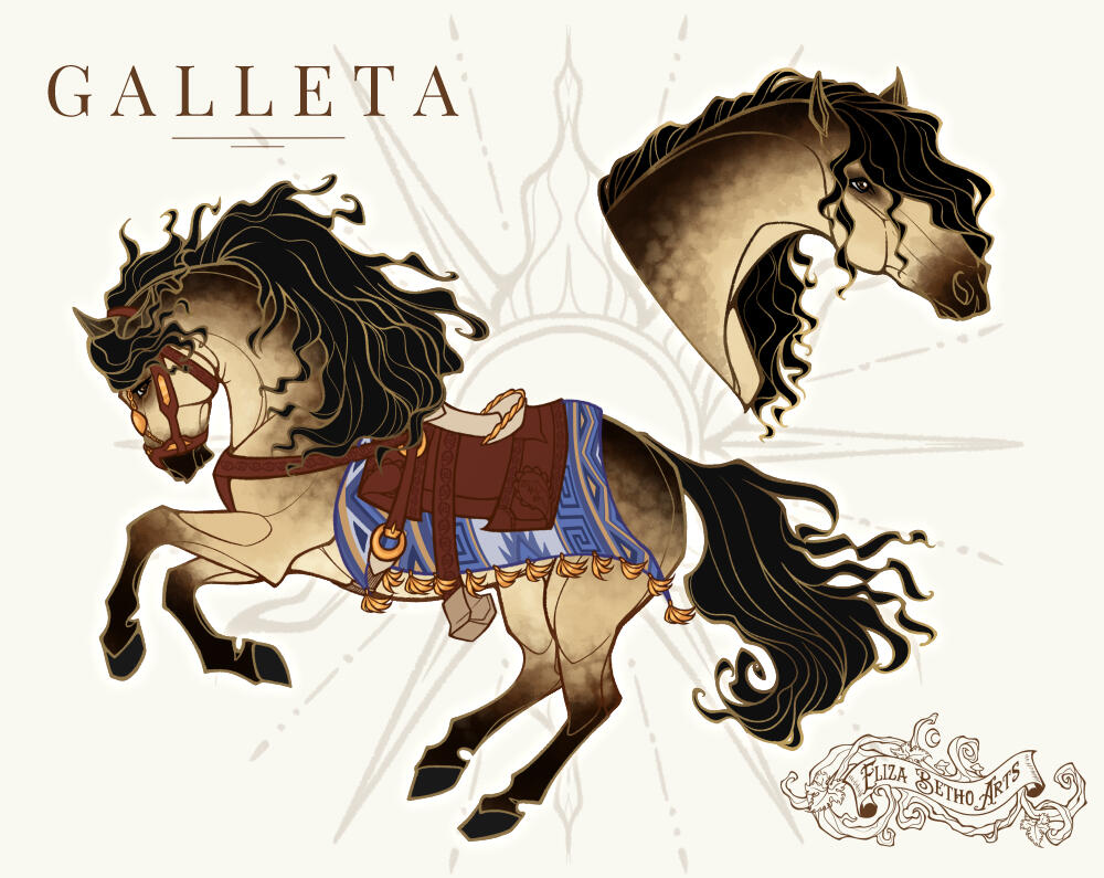 Galleta Tack